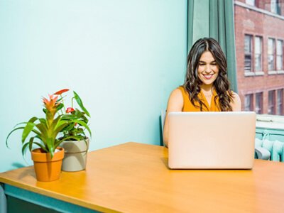 woman working at a laptop with a potted plant on her desk