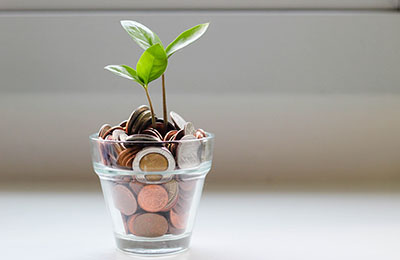 Plant growing in a pot full of coins
